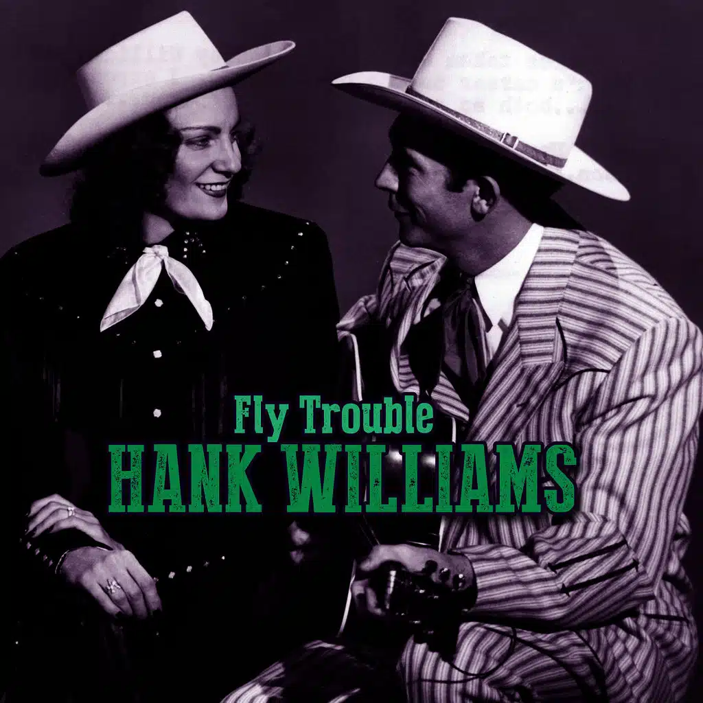 Fly Trouble