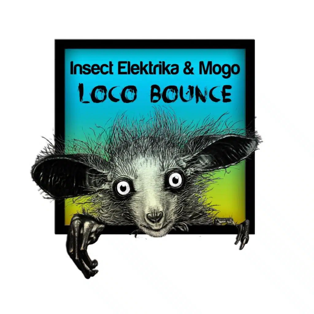 Mogo, Insect Elektrika
