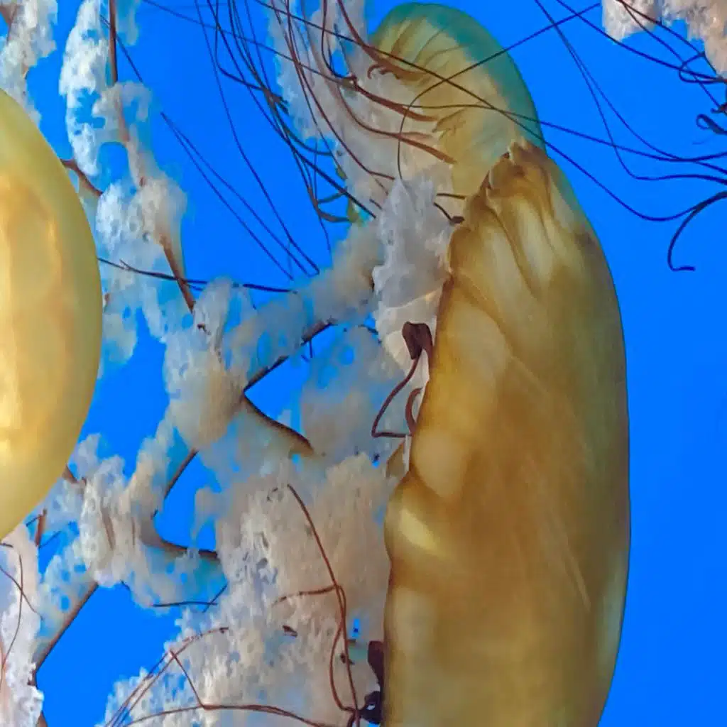 Breathing Underwater