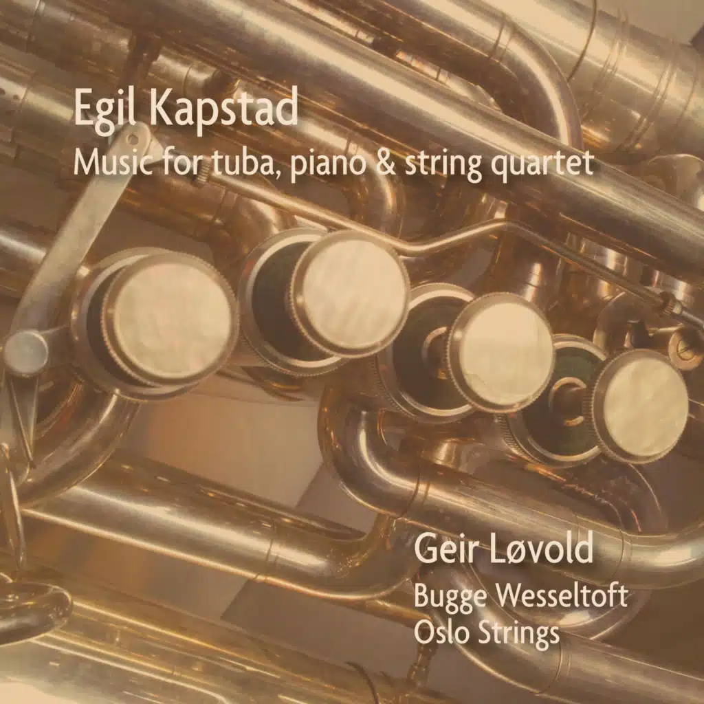 Music for Tuba, Piano and String Quartet