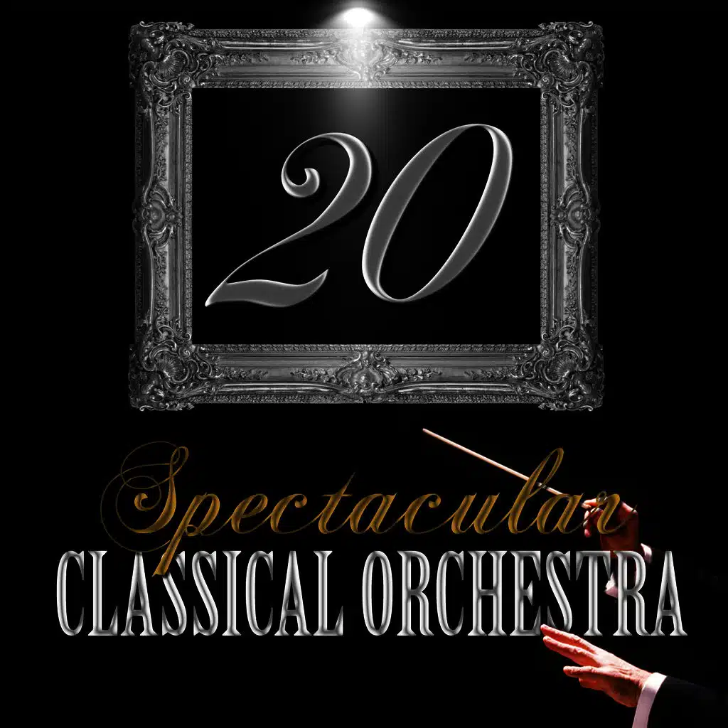 Concerto for Violin and Orchestra No. 3 in G Major, K. 216: I. Allegro