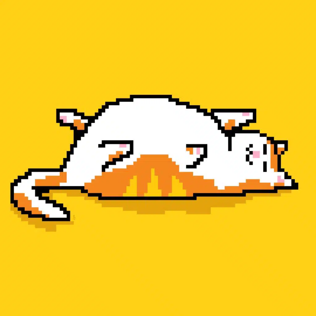 Yellow Album (for Streaming with a cat)