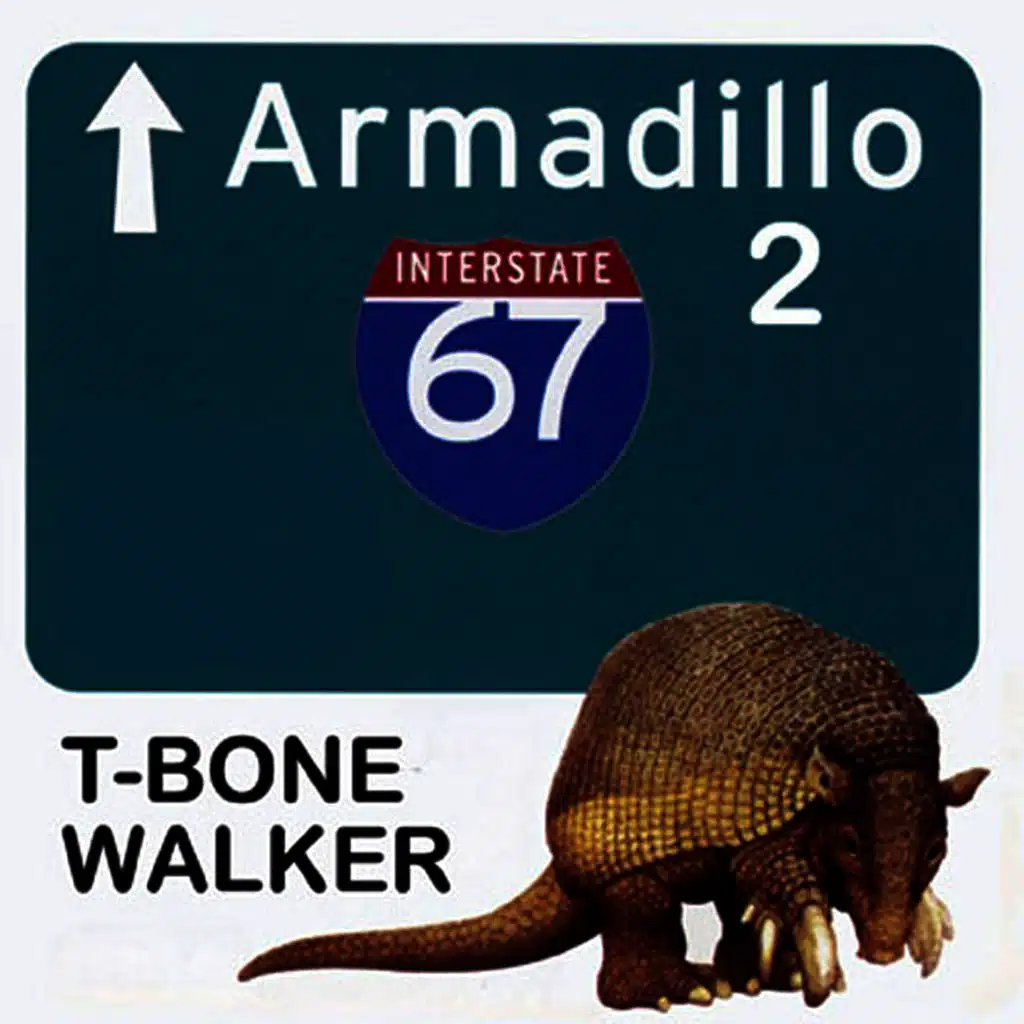 Armadillo 2