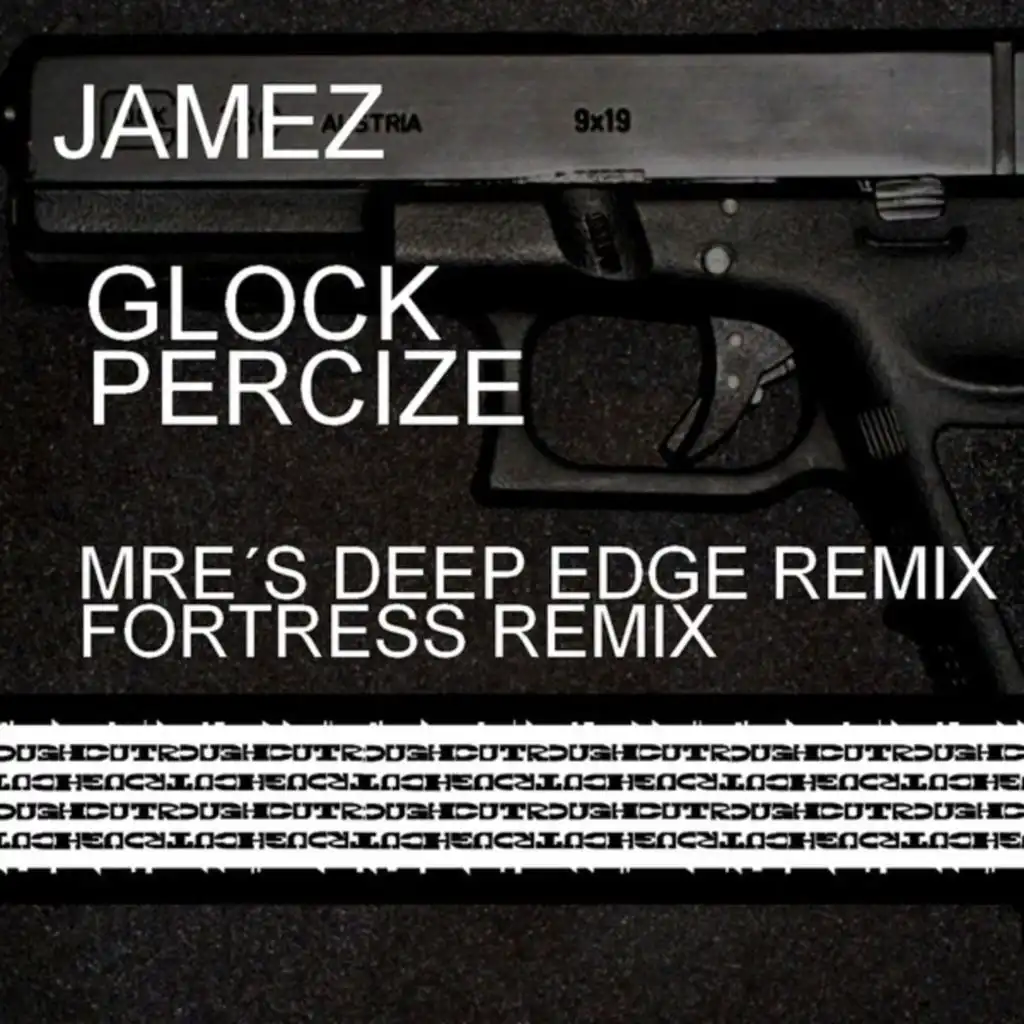 Precize (Fortress Remix)