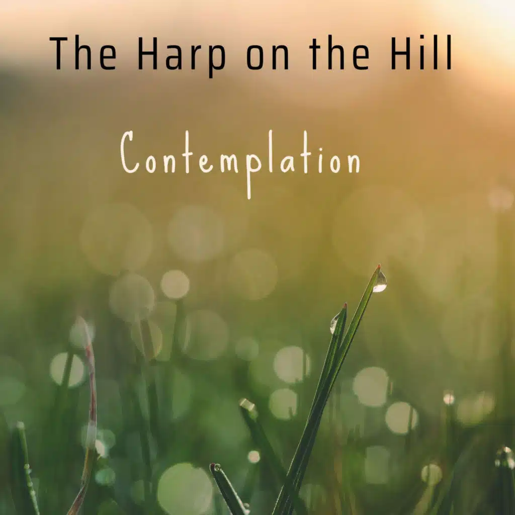 Contemplation