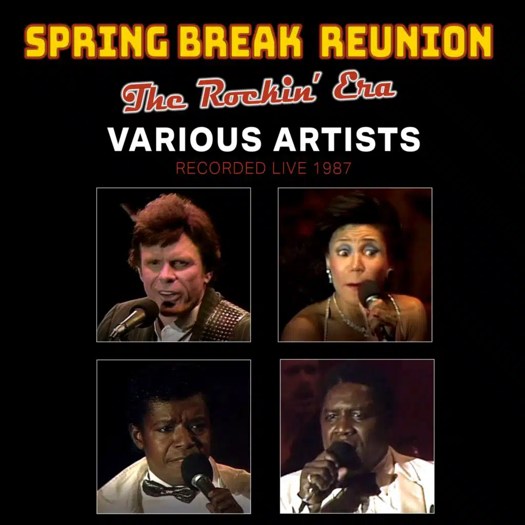 Spring Break Reunion: The Rockin' Years
