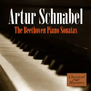 The Beethoven Piano Sonatas