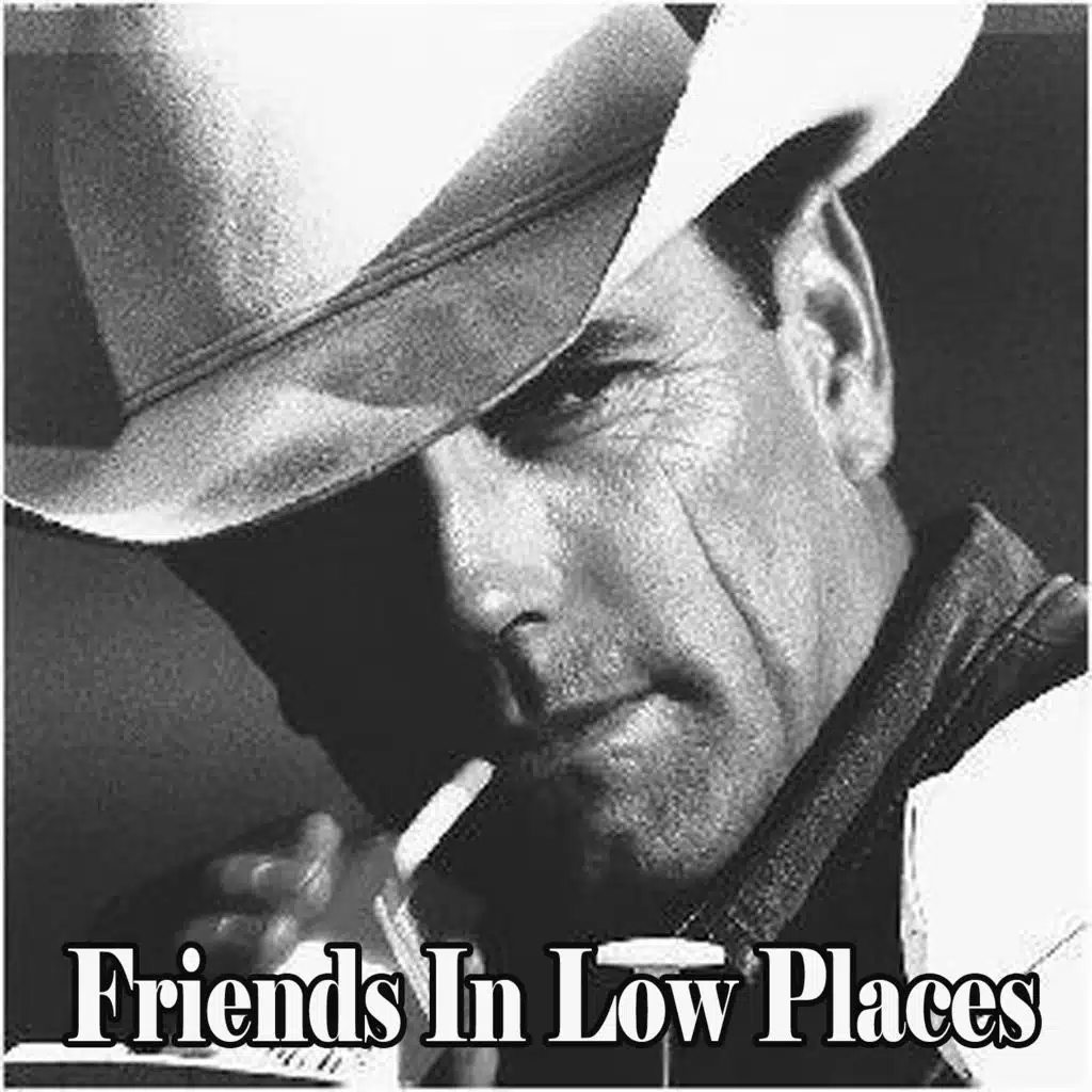 Friends In Low Places (Tribute Instrumental)