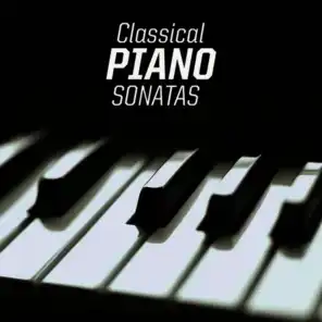 Piano Sonata No. 8 in A minor, K. 310, III. Presto