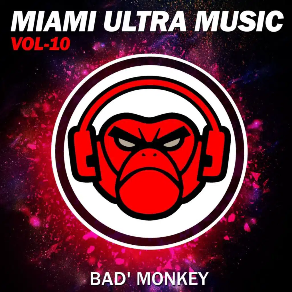Miami Ultra Music Vol.10, Compiled By Bad Monkey