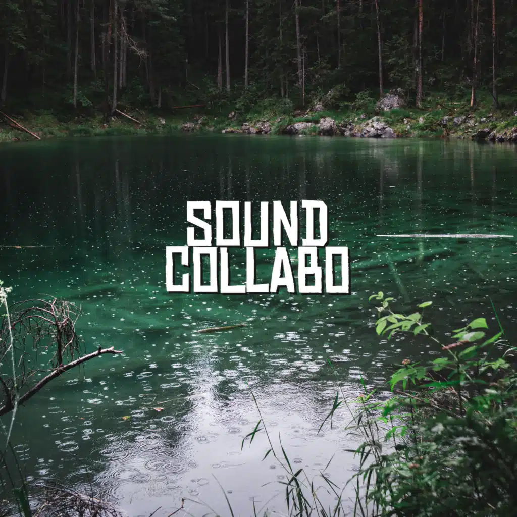 Zen Master, Cricket Sounds & Sound Collabo