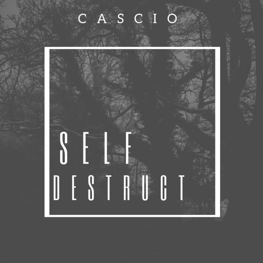 Self Destruct