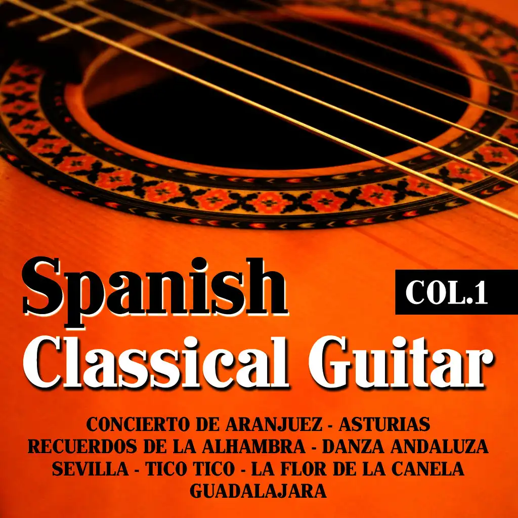Spanish Classical Guitar Vol.1