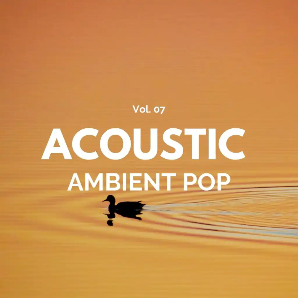 Acoustic Ambient Pop - Vol. 07