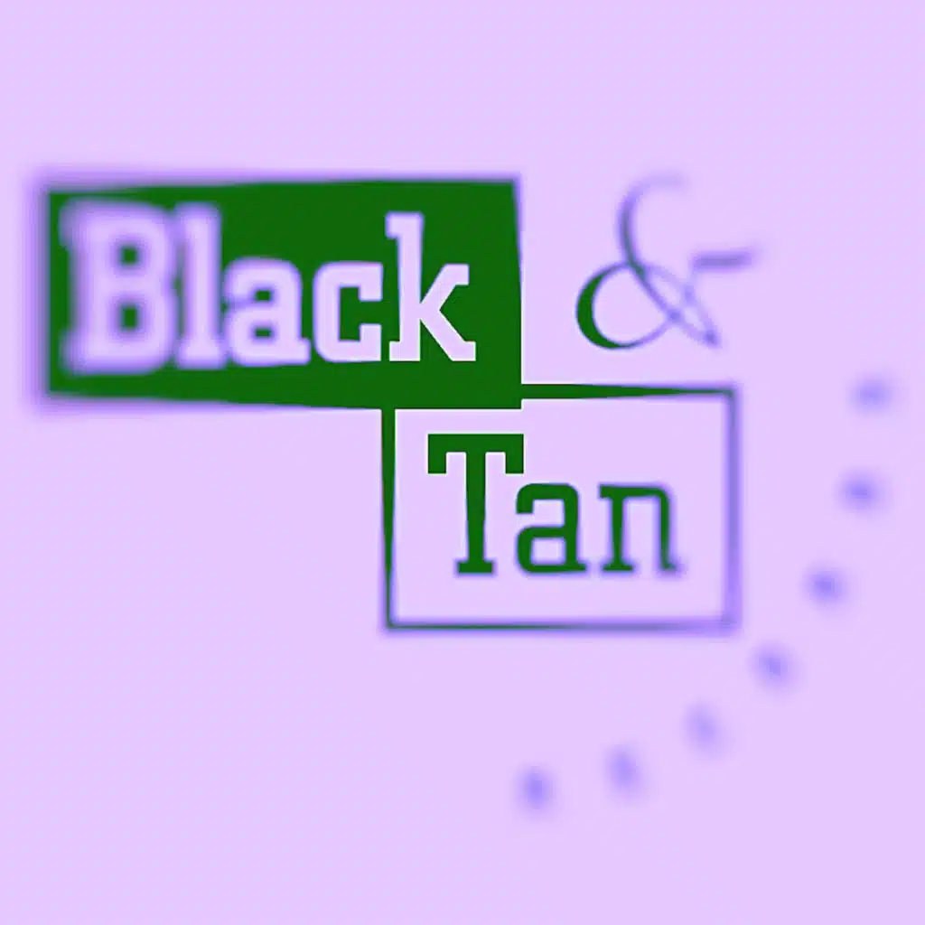 The Sunset Travelers