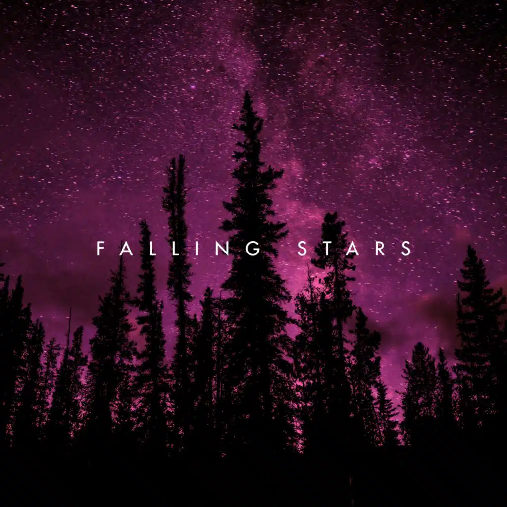 Falling Stars (Radio Edit) [feat. Ngcebzin & Phumelele Xulu]
