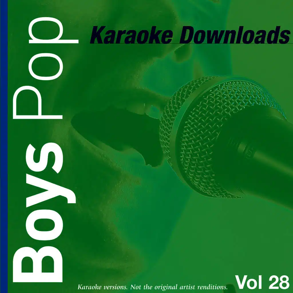 Karaoke Downloads - Boys Pop Vol.28