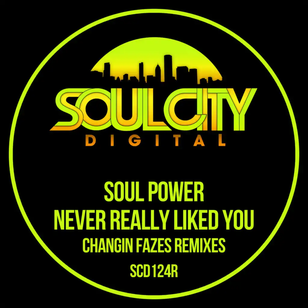 Never Really Liked You (Changin Fazes UK Garage Remix)