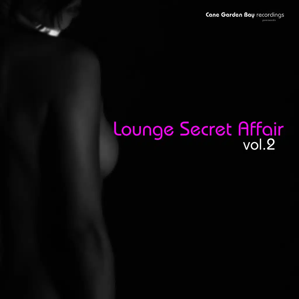 Lounge Secret Affair Vol.2