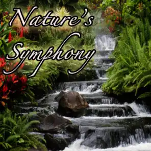 Nature's Symphony: Music from Outdoors, Nature, Environment, Earth, and Life