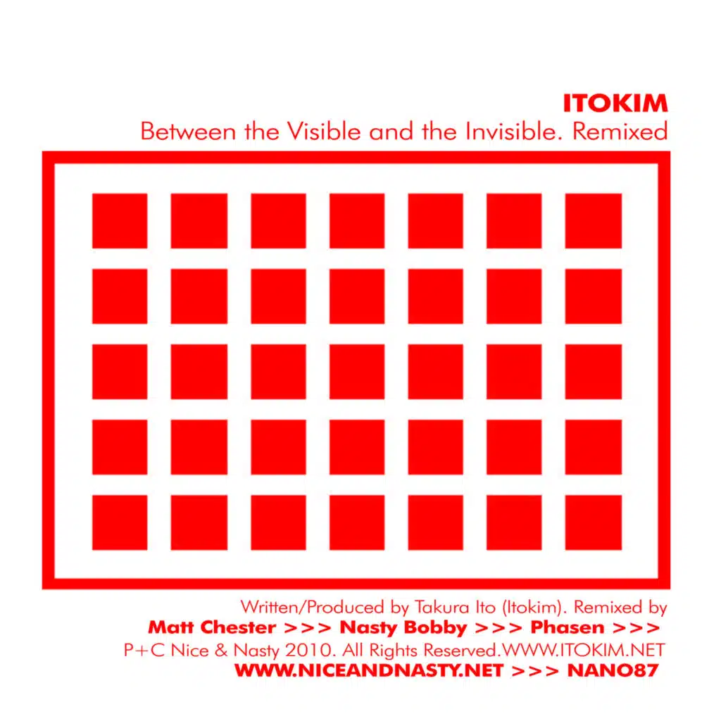 Between the Visible and the Invisible