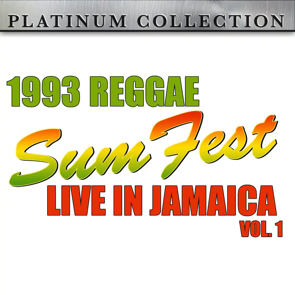 1993 Reggae Sumfest - Live in Jamaica Vol. 1