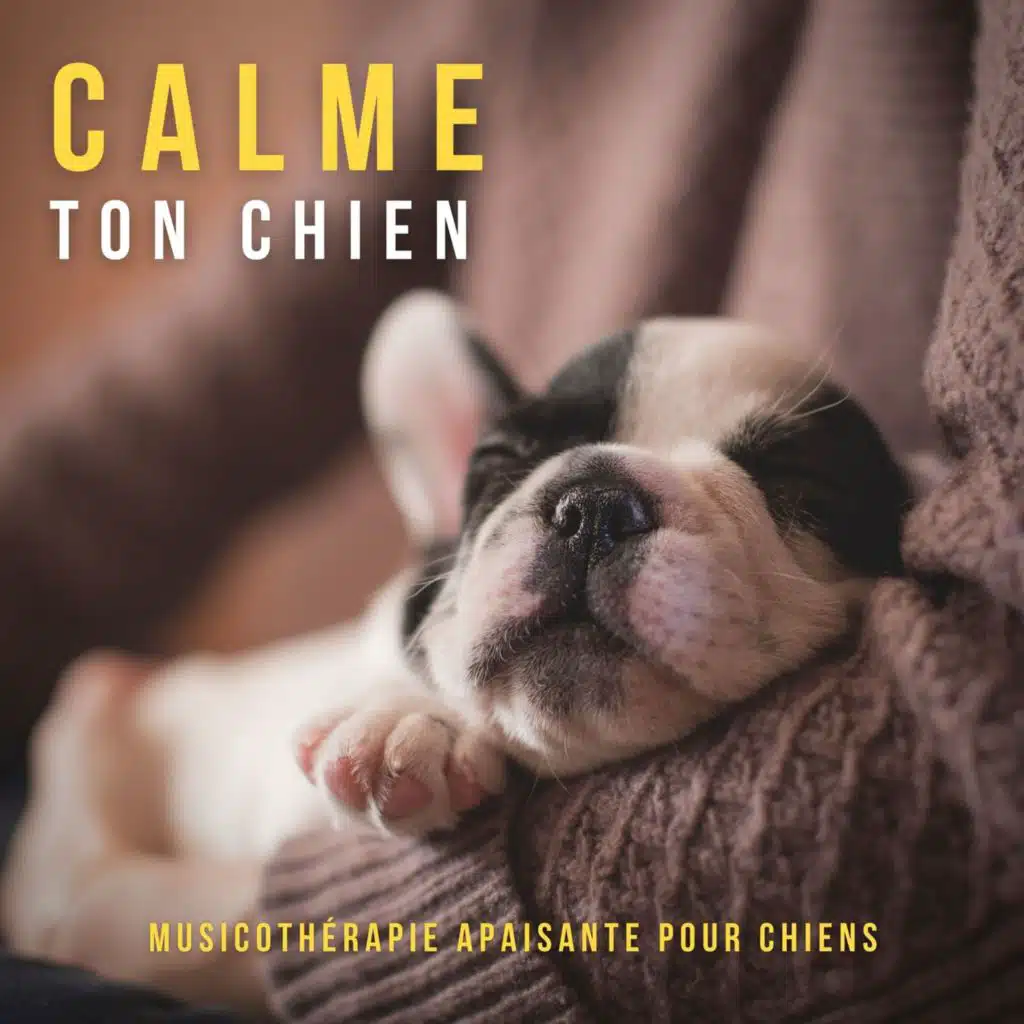 Calme ton chien: Musicothérapie apaisante pour chiens, calmer leur anxiété et les aider à dormir