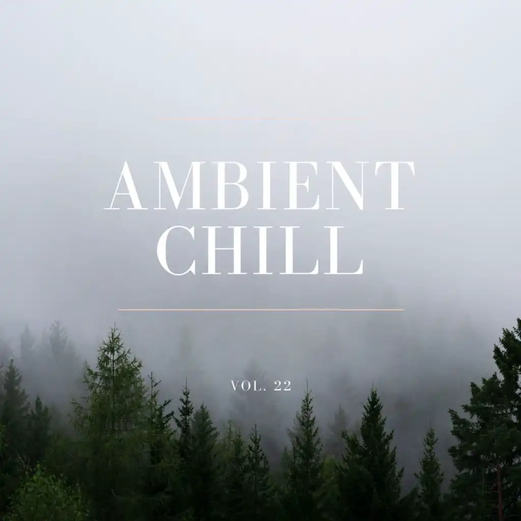 Ambient Chill, Vol. 22