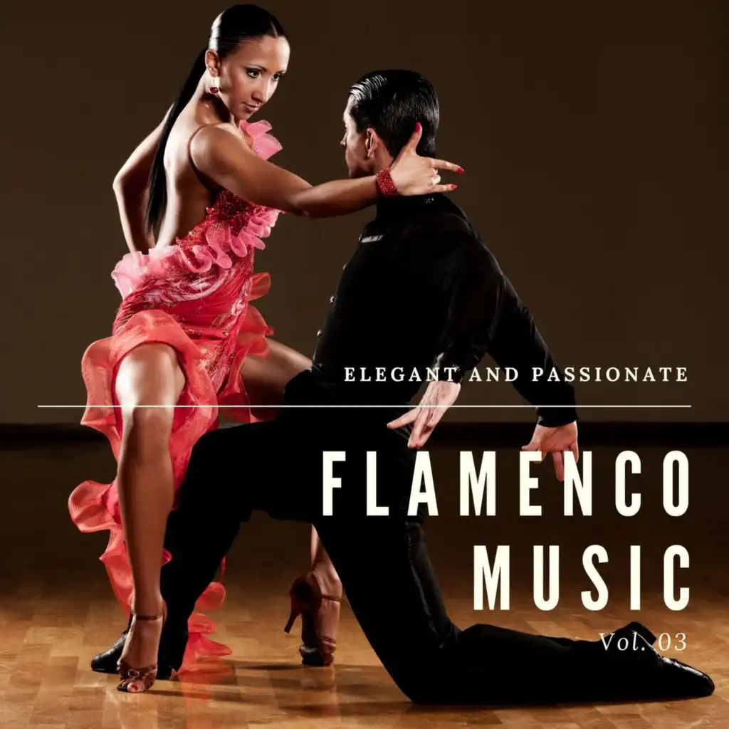 Flamenco Passion