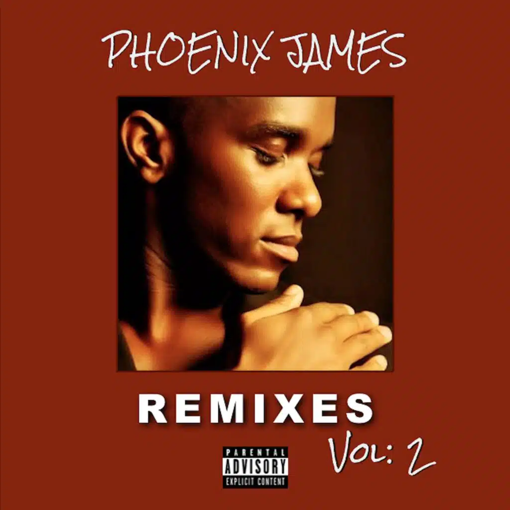 REMIXES VOL: 2