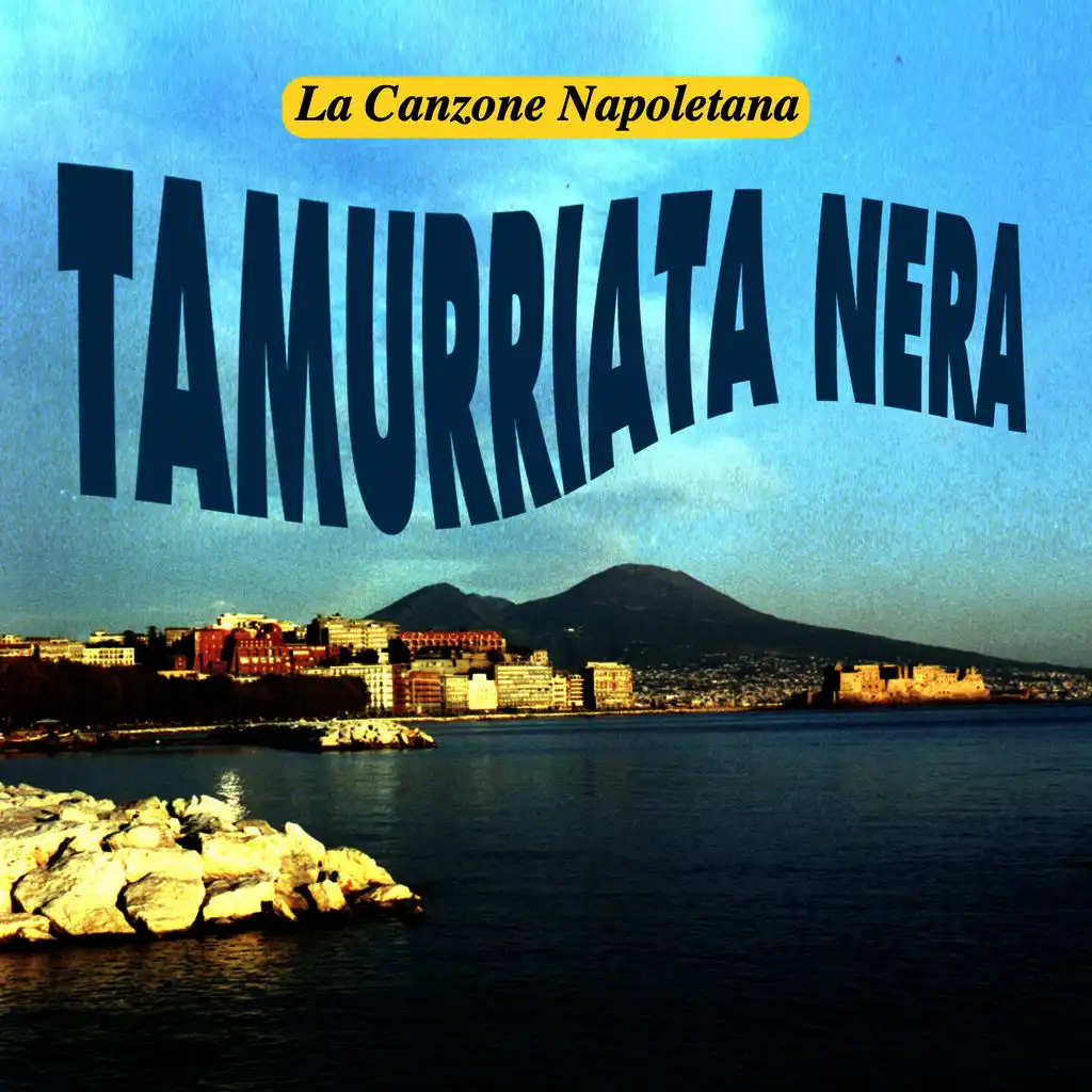 Tammuriata nera