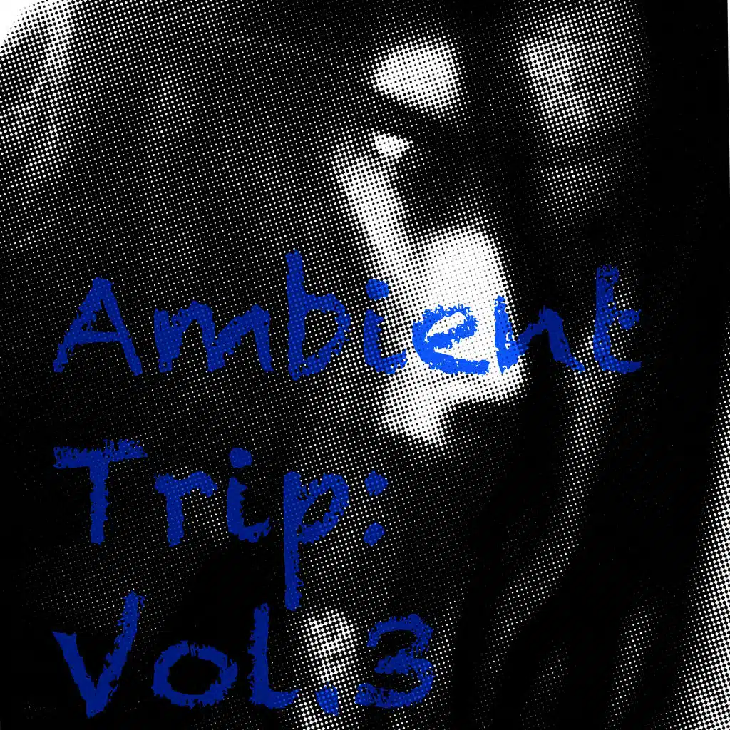 Ambient Trip: Vol.3