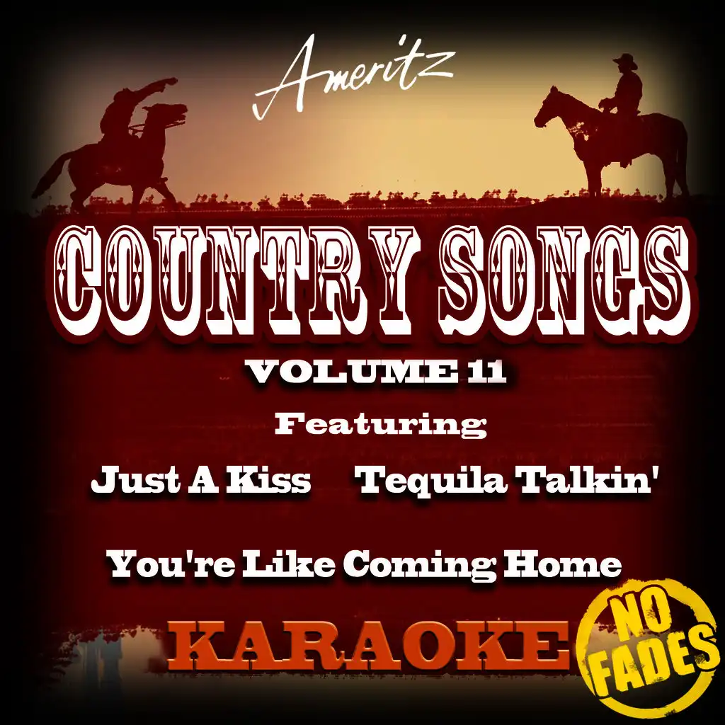 Karaoke - Country Songs Vol. 11