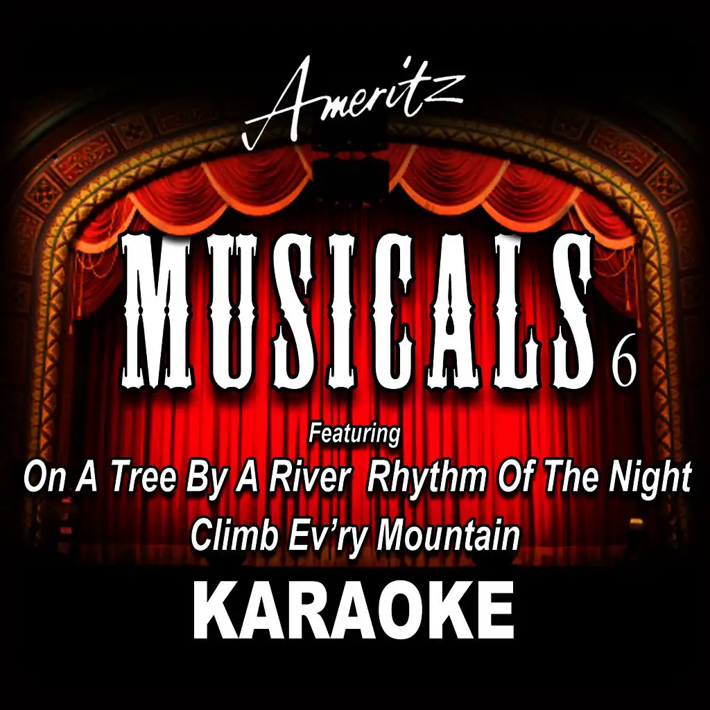 Karaoke - Musicals Vol. 6