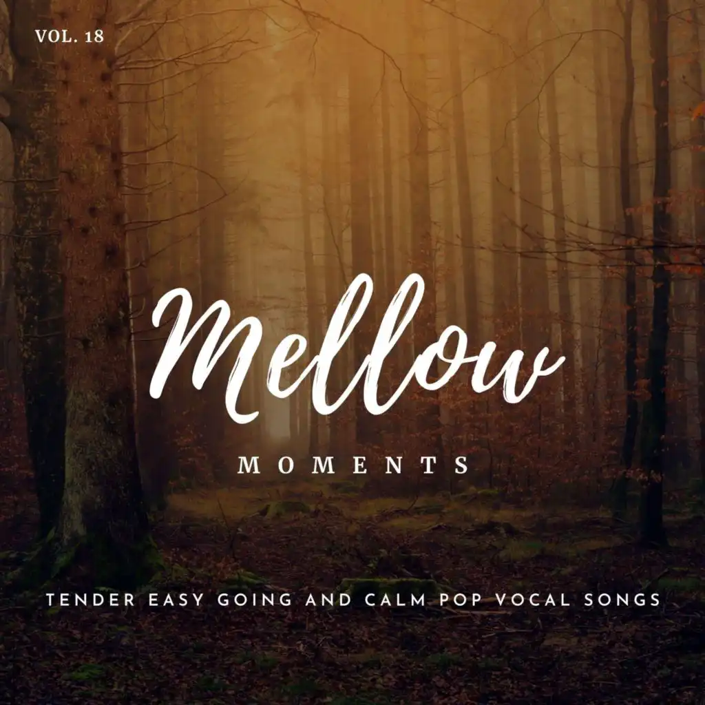 Mellow Moments - Tender Easy Going And Calm Pop Vocal Songs, Vol. 18