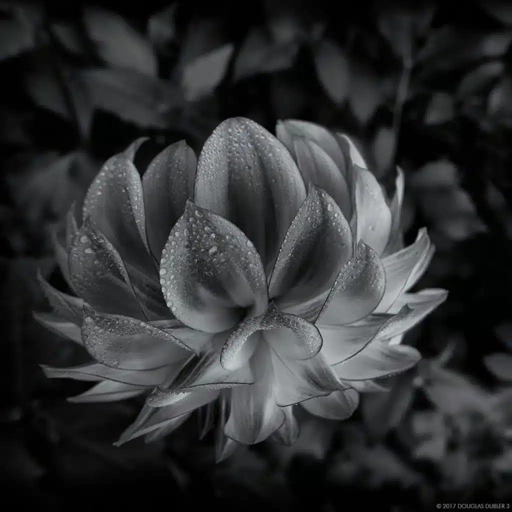 #HomeCaptured: Xposure Announces Global Photo Contest