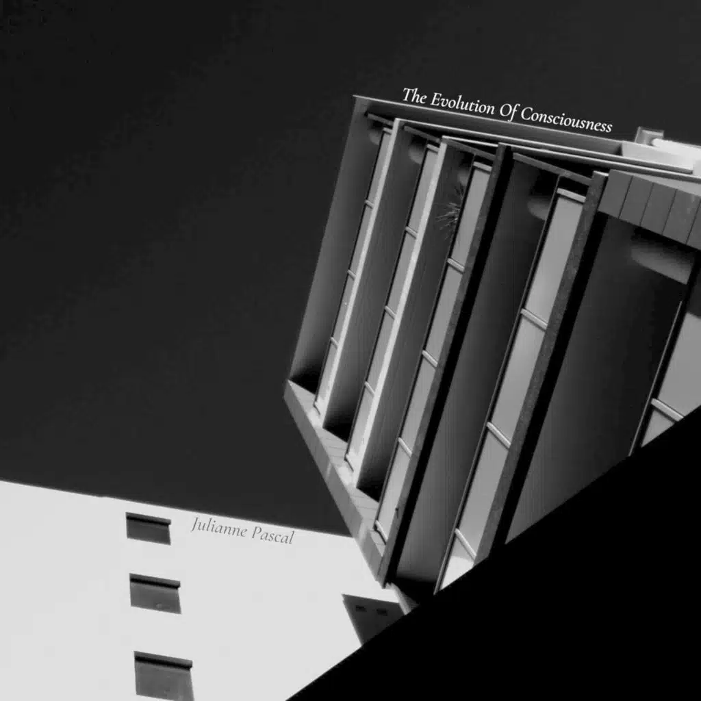 The Evolution Of Consciousness