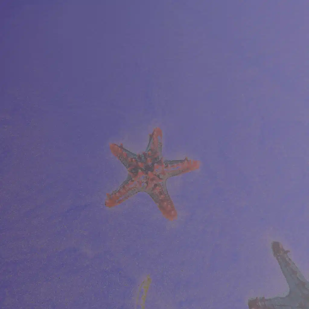 Starfish and Giant Foams