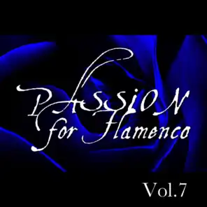 Passion for Flamenco Vol. 7