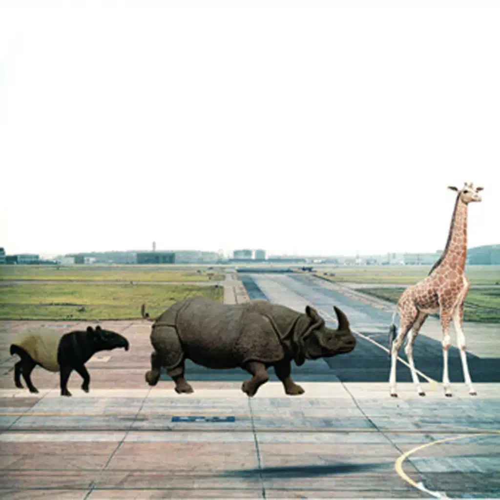 Safari feat. Schad Privat