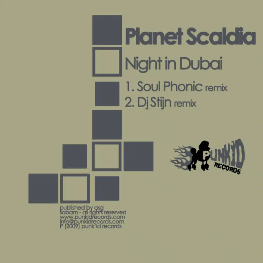 Night in Dubai (Dj Stijn Remix)