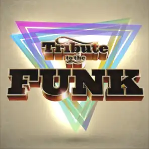 I Thank You (Tribute To The Disco Funk Version)