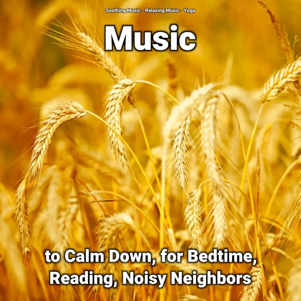 Music to Calm Down, for Bedtime, Reading, Noisy Neighbors