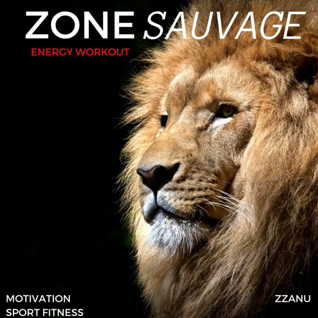 Zonesauvage (Electro Workout)