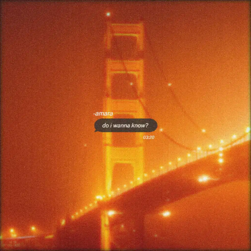 Do I Wanna Know (feat. Amara)
