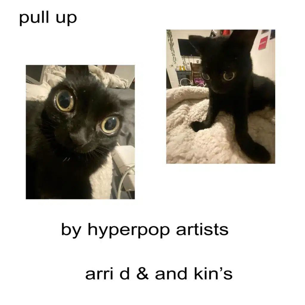 pull up (feat. kins)