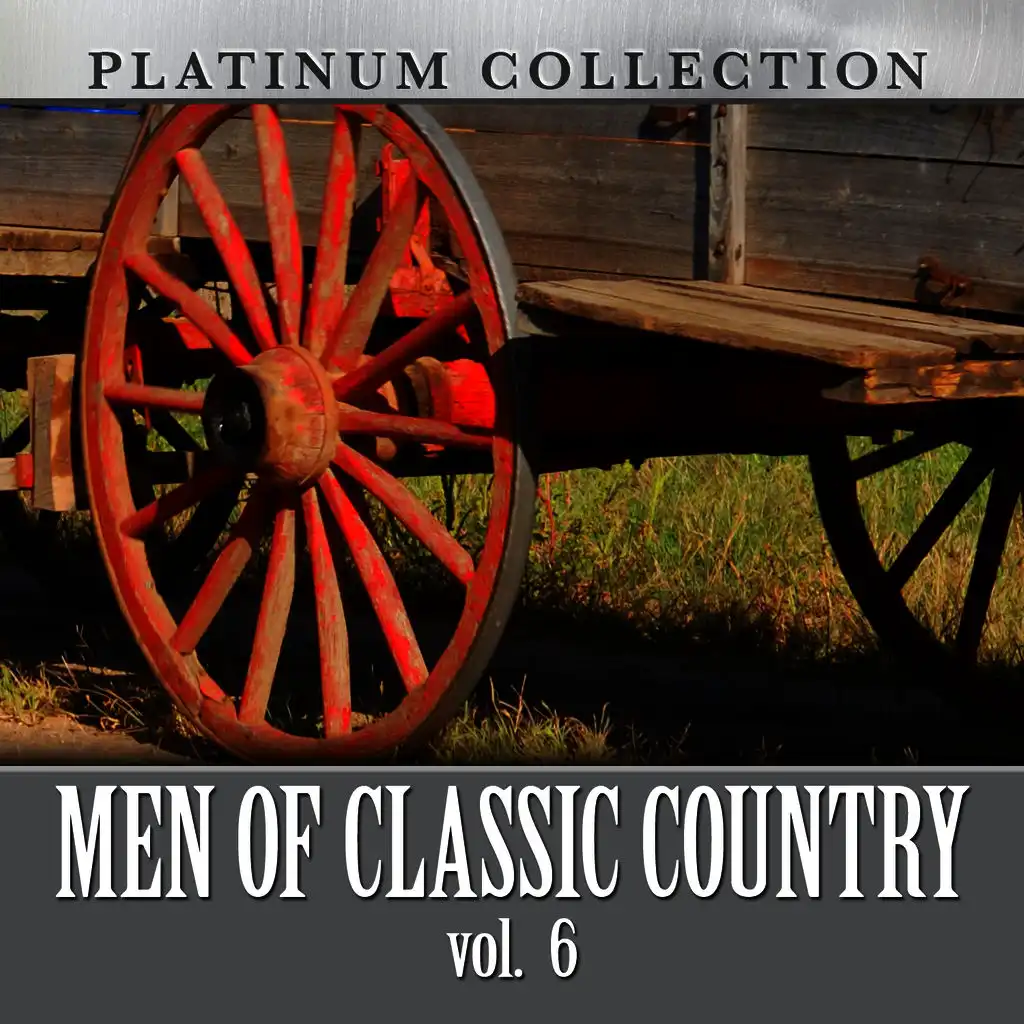 Men of Classic Country, Vol. 6