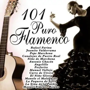 101 Puro Flamenco
