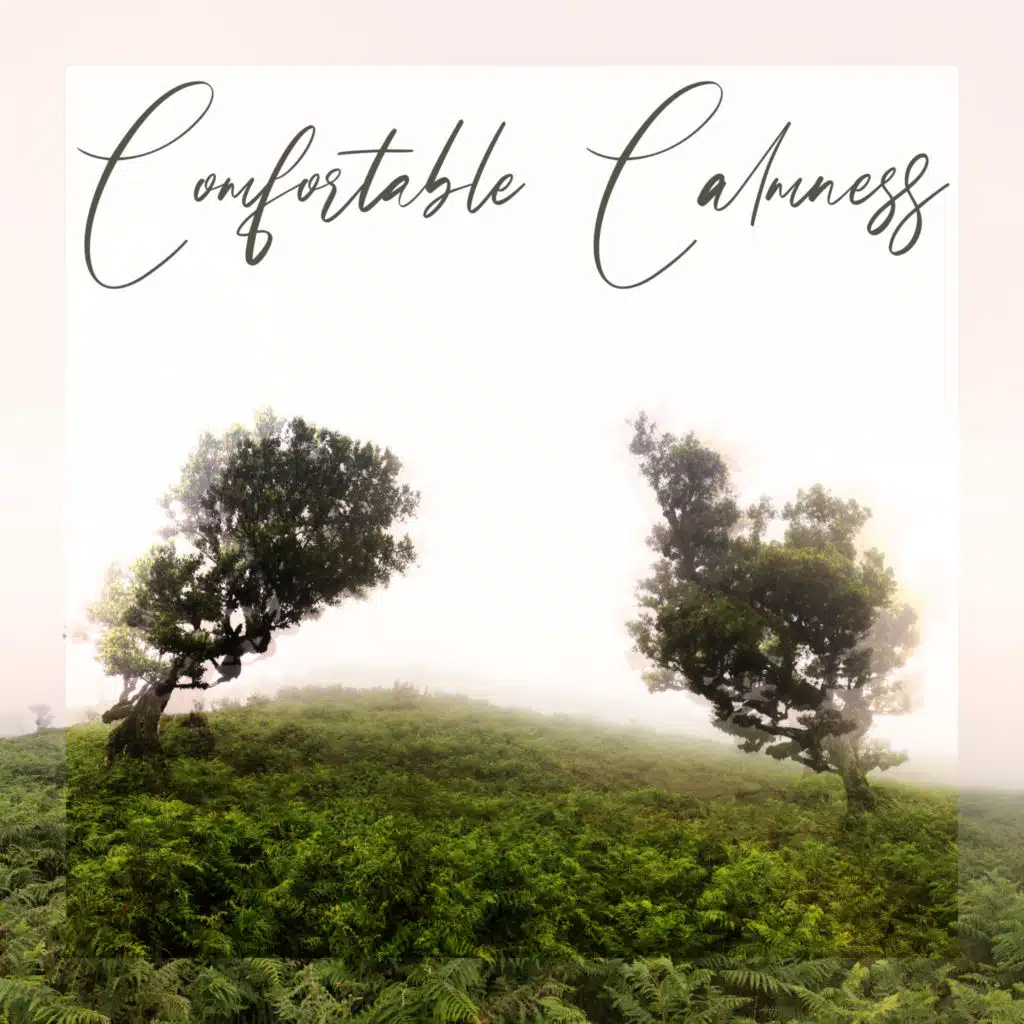 Comfortable Calmness – Anti Stress Music Collection 2021