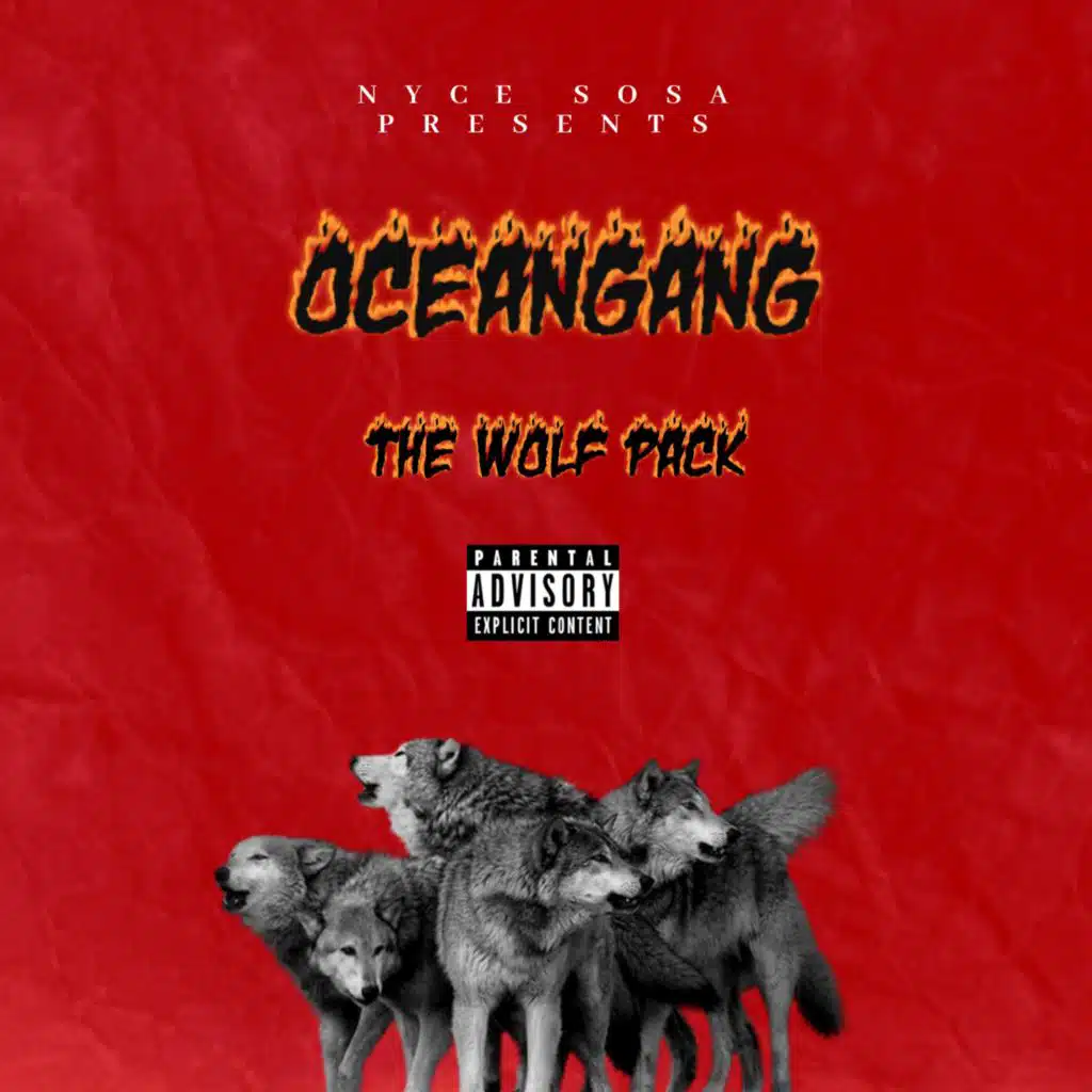 The Wolf Pack